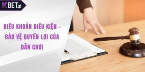 điều khoản điều kiện