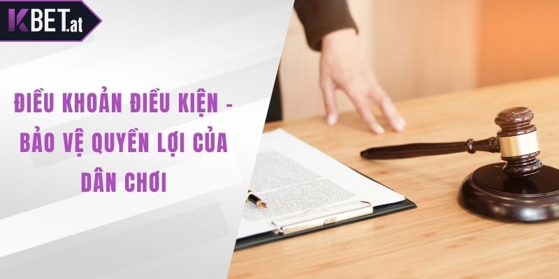 điều khoản điều kiện