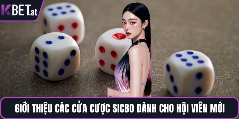 Giới thiệu các cửa cược sicbo dành cho hội viên mới