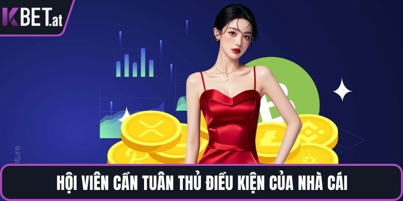 Hội viên cần tuân thủ điều kiện của nhà cái